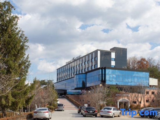 Gallery - Chuncheon Bears Hotel