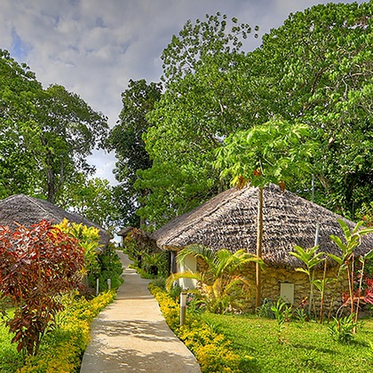 Gallery - Coco Beach Resort