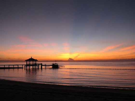 Gallery - Pulchra - Philippines