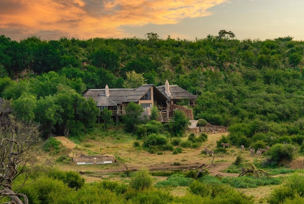 Gallery - Impodimo Game Lodge