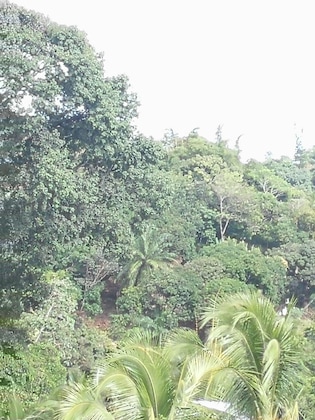 Gallery - Natural Pacific Suites