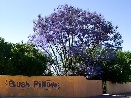 Gallery - Bush Pillow Guest House