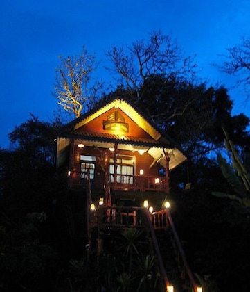 Gallery - Khao Sok Tree House