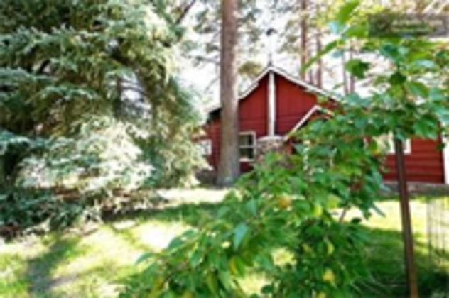 Gallery - Myrtle Chalet