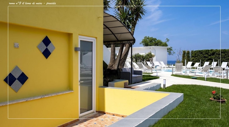 Gallery - Il Leone Di Mare