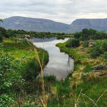 Gallery - Honeyguide Ranger Camp