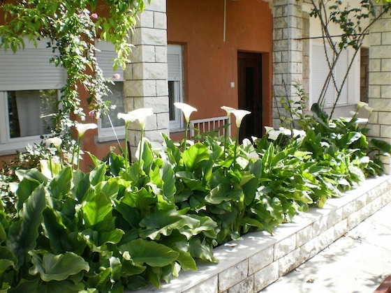 Gallery - Apartmani Marija