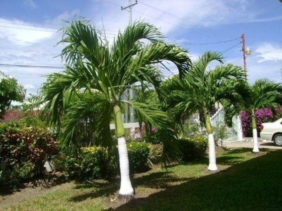 Gallery - Restorations Tobago