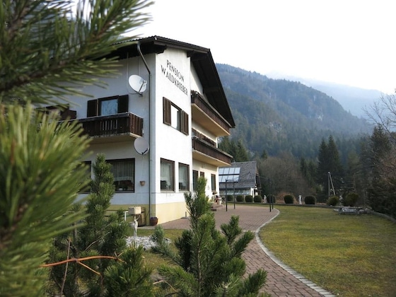 Gallery - Pension Waldkrieber