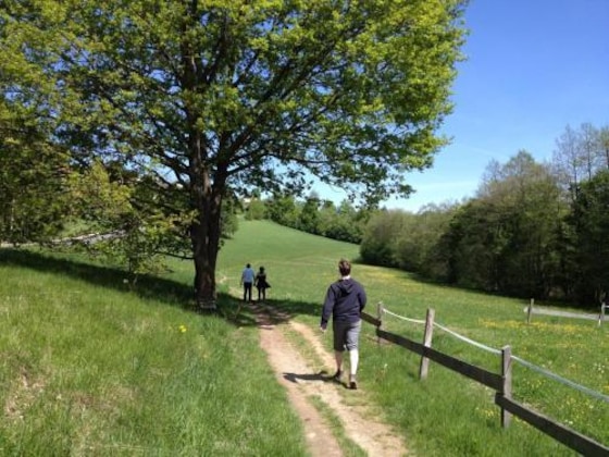 Gallery - Biohof Naturzeit Faaker See