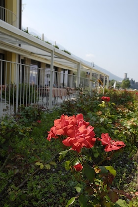 Gallery - Hotel Europa