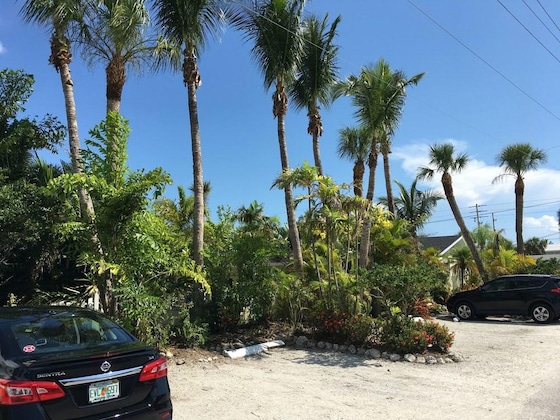 Gallery - Palm Tree Villas