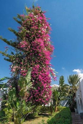 Gallery - Le Hammamet Hotel & Spa