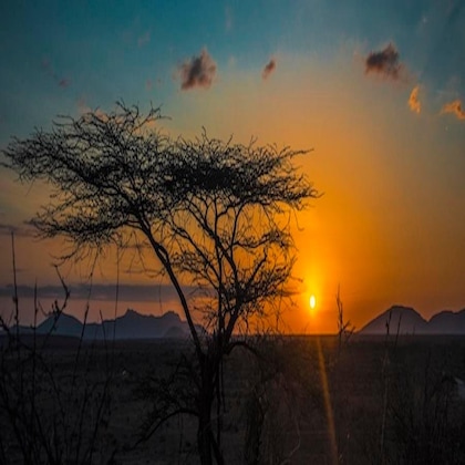 Gallery - Ashnil Samburu Camp