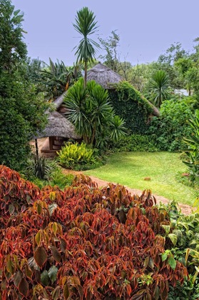 Gallery - Amanzi Lodge