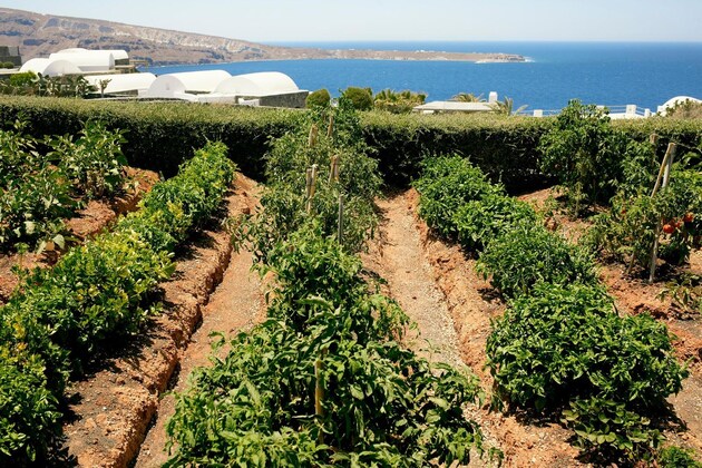 Gallery - Santo Pure Oia Suites & Villas