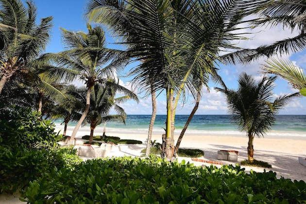 Gallery - The Beach Tulum