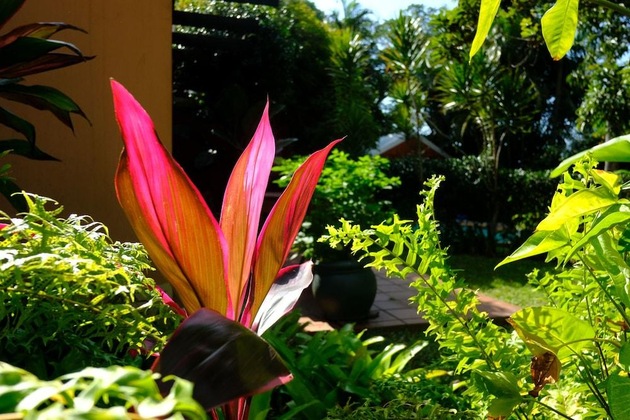 Gallery - Santa Lucia Guest House