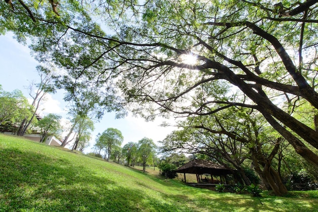 Gallery - Rain Tree Khao Yai Hotel