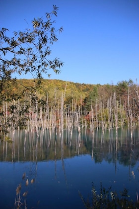 Gallery - Furano Shiyuirin