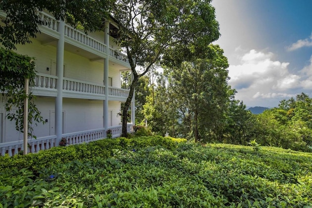 Gallery - Tea Harvester Munnar
