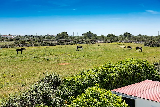 Gallery - Casas Menorquinas