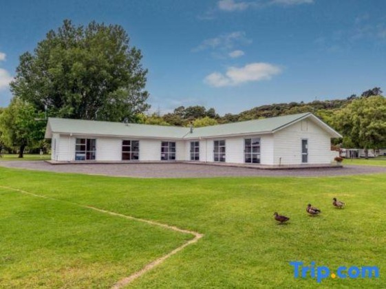 Gallery - Coromandel Shelly Beach Top 10 Motels & Cabins