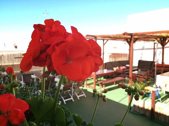 Gallery - Summer Hostel Cádiz