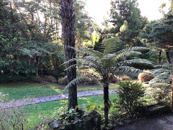 Gallery - Rapaura Watergardens