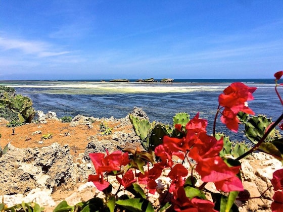 Gallery - Mawe Resort Watamu Boutique Hotel