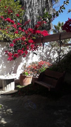 Gallery - Alternative Space B & B