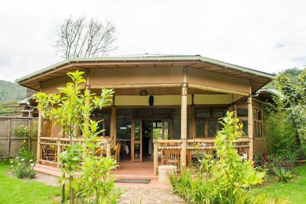 Gallery - Ichumbi Gorilla Lodge