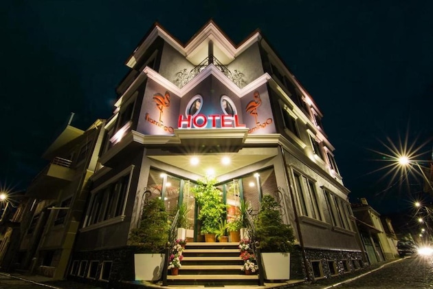 Gallery - Hotel Flamingo