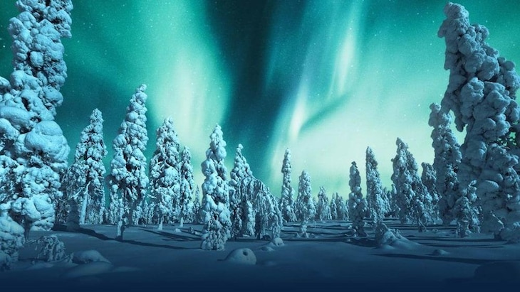 Gallery - Santa's City Apartments