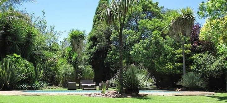 Gallery - The Pecan Tree