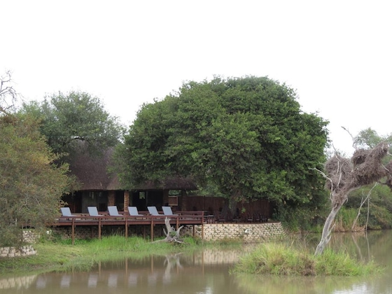 Gallery - Gomo Gomo Game Lodge