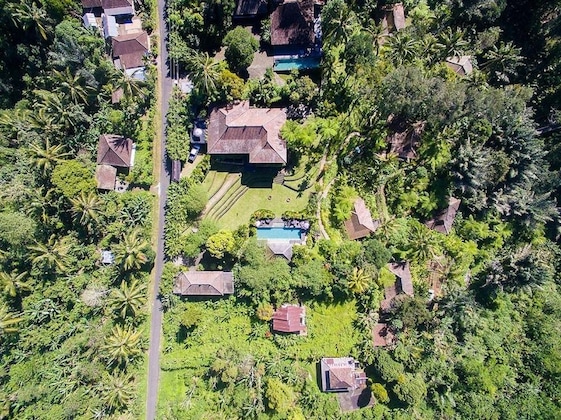 Gallery - Alassari Plantation