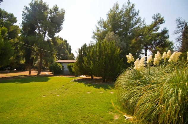 Gallery - Villa 1 Chambre, Eretria - 1351Κ10000241801