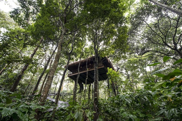 Gallery - Pepper Trail