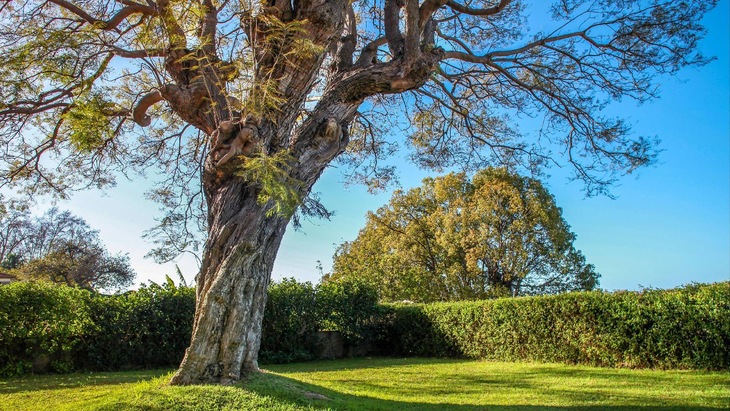 Gallery - Quinta Das Malvas