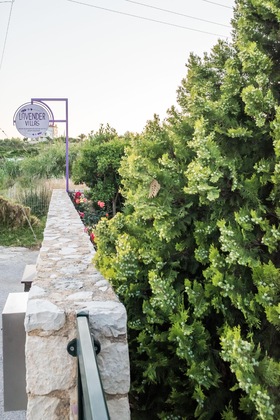 Gallery - Lavender Villas Chania