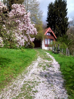 Gallery - Ekosamotnia Eco Dream Pension