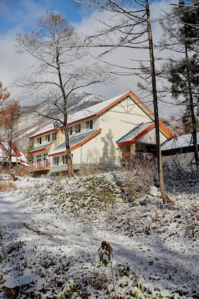 Gallery - Canopy Cortina Lodge