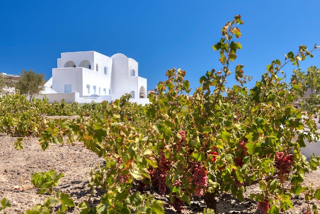 Gallery - Blanca Luxury Villa