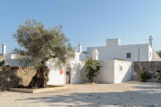 Gallery - Masseria Stefanodelconte
