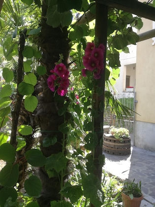 Gallery - Hotel Gentile