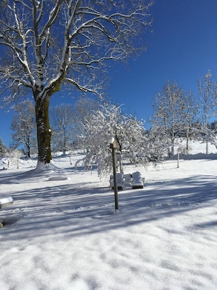 Gallery - Le Tillau