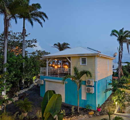 Gallery - Majesty Palm