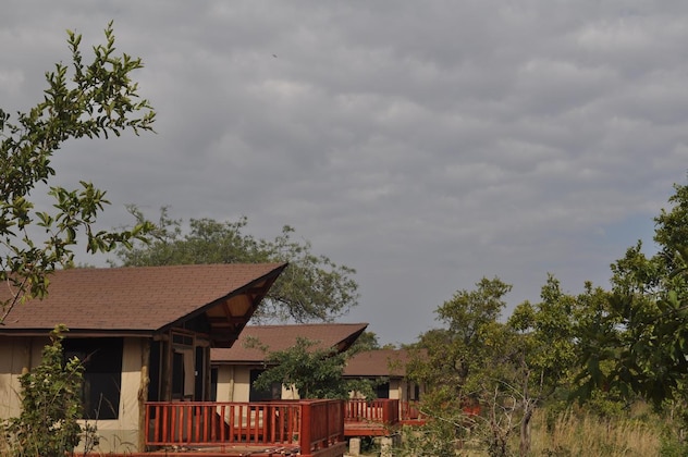 Gallery - Balloon Camp Tarangire