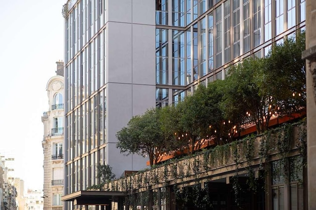 Gallery - Brach Paris - Evok Collection